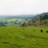 09 b Schluchensteig Etappe 4 - 6